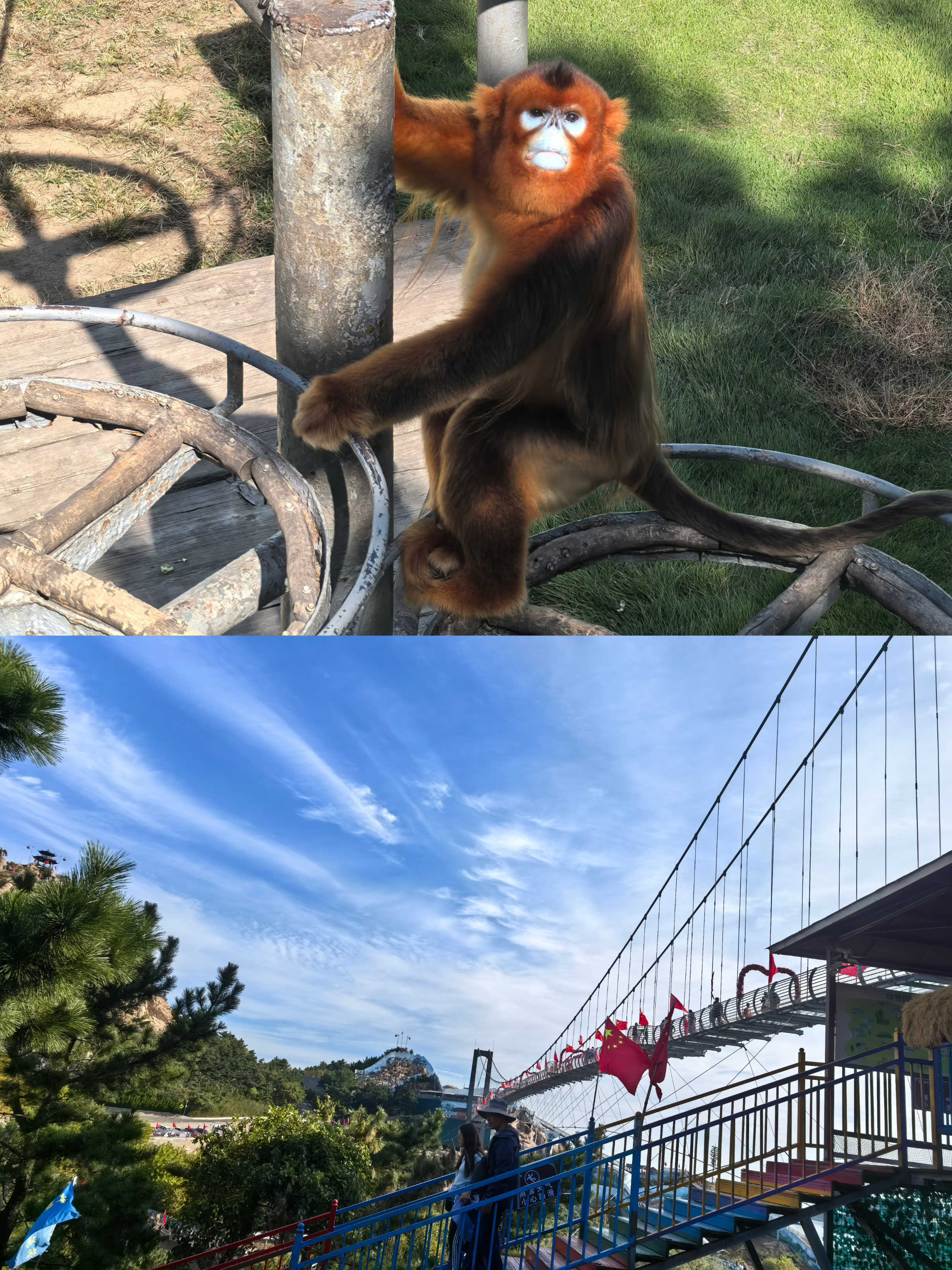 ��ʱ|AG(AsiaGaming)������Ӫ��