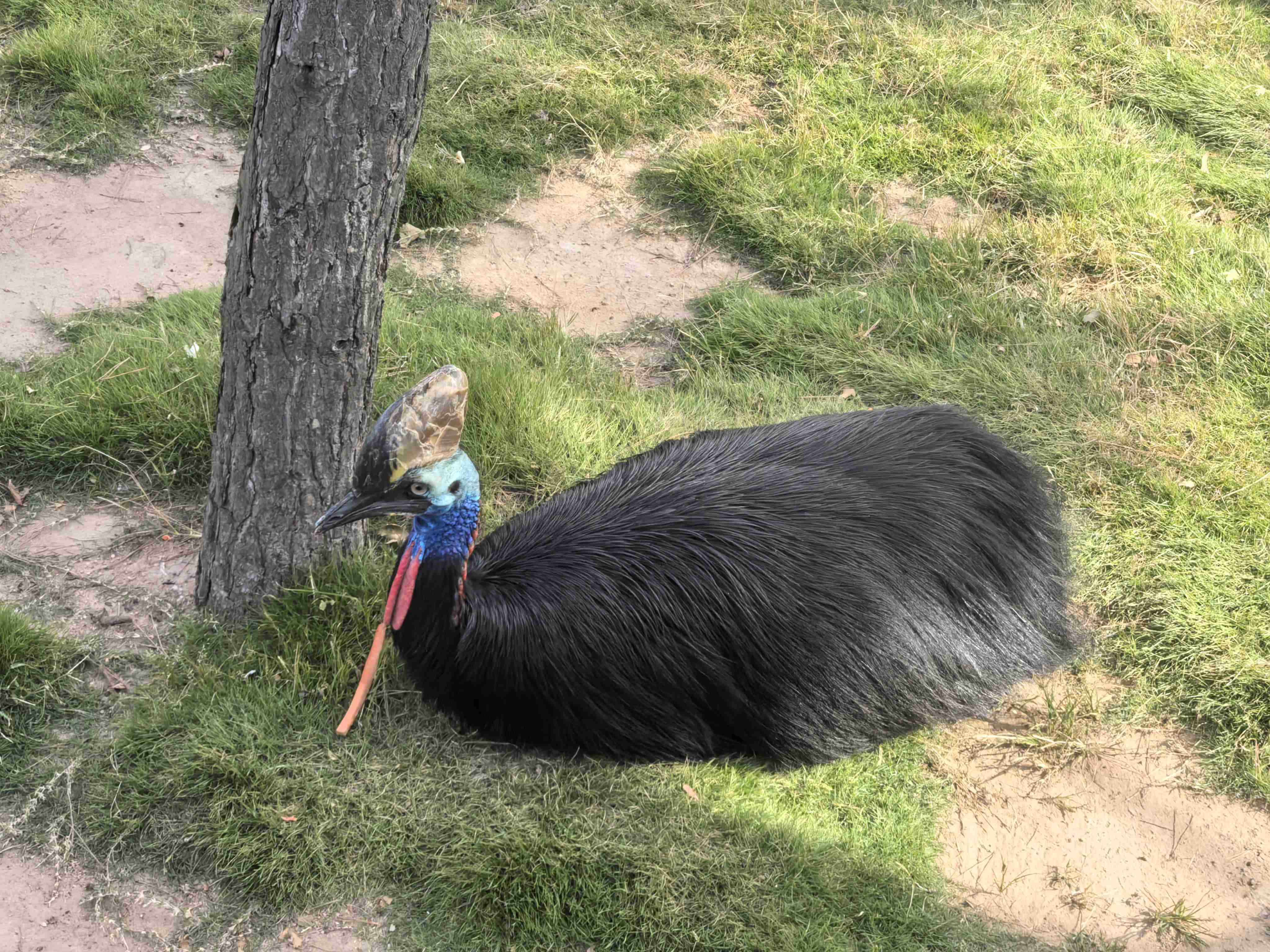 ��ʱ|AG(AsiaGaming)������Ӫ��